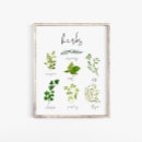 Search for kitchen herb art Watercolor