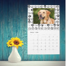 Search for cat calendars Dog