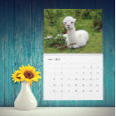 Search for llama calendars Alpaca