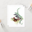 Search for nuthatch cards Watercolor