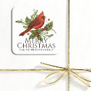 Search for cardinals stickers Red cardinal