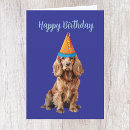 Search for cocker spaniel birthday cards Dog lover