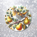 Search for partridge stickers Bird