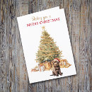 Search for chocolate christmas cards Chocolate labrador retriever