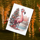 Search for mountain birds postcards Animal