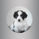Search for magnets Cute