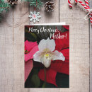 Search for red orchids Botanical