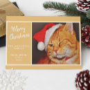 Search for orange cat christmas cards Cute