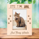 Search for cute cat picture frames Kitten