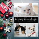 Search for dog and cat christmas cards Pet photo
