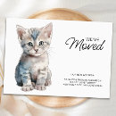 Search for new kitten invitations Cat