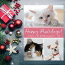Search for dog cat christmas cards Pet photo