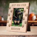 Search for cute animal picture frames Pet