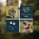 Search for pets first christmas tree decorations Blue