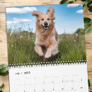 Search for cat calendars Puppy