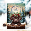 Search for chocolate lab christmas cards Chocolate labrador retriever
