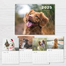 Search for funny dog calendars Modern