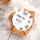 Search for bugs stickers Bug party