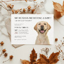 Search for labrador retriever invitations Puppy