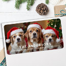 Search for family with cat return address labels Modern