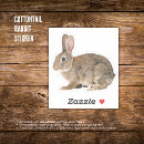 Search for cottontail rabbit stickers Bunnies