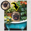 Search for first noel postcards Cute