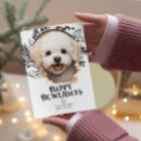 Search for bichon frise christmas cards Happy howlidays
