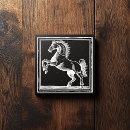 Search for horsemanship Equestrian