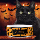Search for halloween cat bowls Cute
