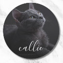 Search for cat name stickers Dog