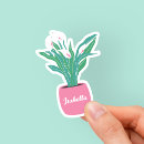 Search for air plant stickers Houseplant
