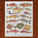 Search for fish fishing fisherman puzzles Angling