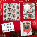 Search for german shepherd wrapping paper Animals