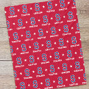 Search for teen boy blankets For him