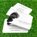 Search for adorable business cards Veterinarian