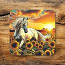 Search for sunflower fields stickers Field of flowers