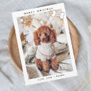 Search for pet dog christmas cards Merry woofmas