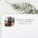 Search for chocolate labrador return address labels Dog