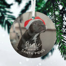 Search for santa cat christmas tree decorations Cute