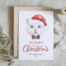 Search for white cat christmas cards Cute