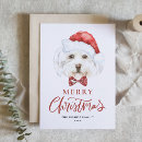 Search for maltese christmas cards Dog