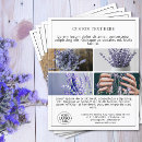 Search for event flyers Spa