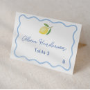 Search for blue and white place cards Modern