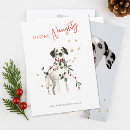 Search for dalmatian lover cards Modern