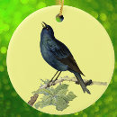 Search for singing birds christmas tree decorations Vintage