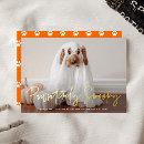 Search for pet halloween cards Dog