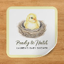 Search for hatching chick stickers Bird