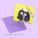 Search for animal business cards Veterinary