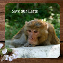 Search for monkey coasters Animal