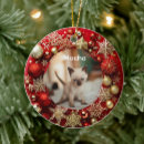 Search for siamese christmas tree decorations Kitten